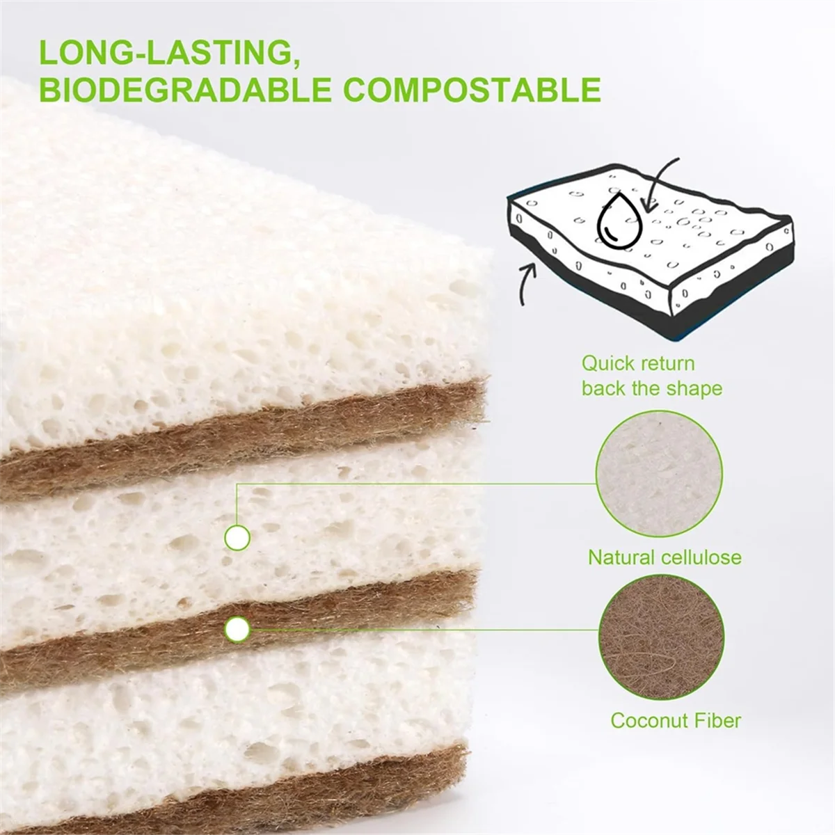 EcoSponge