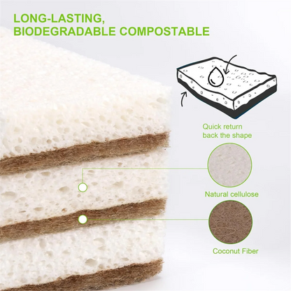 EcoSponge