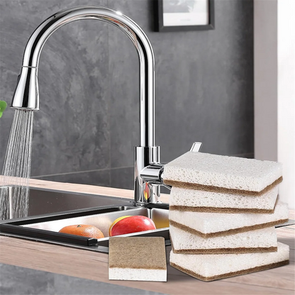 EcoSponge
