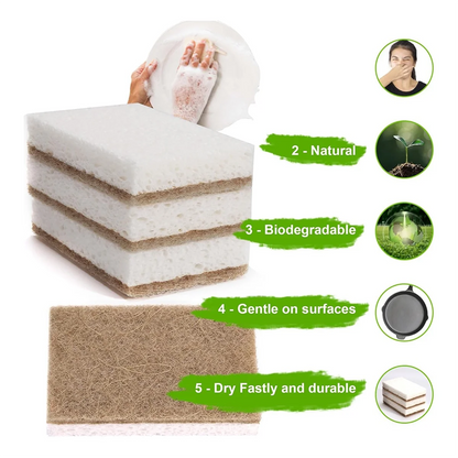 EcoSponge