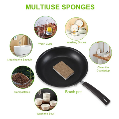 EcoSponge
