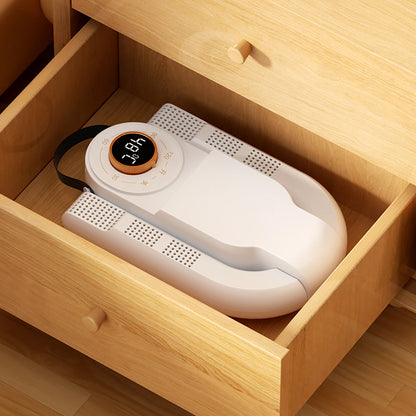 Electric Shoe Dryer